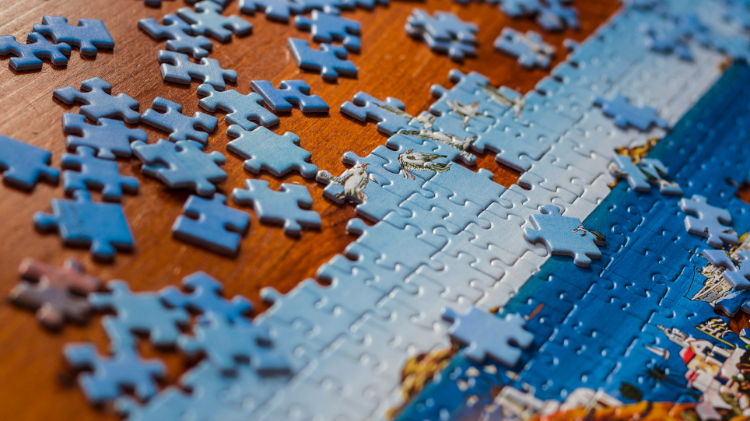 Jigsaw Puzzling 